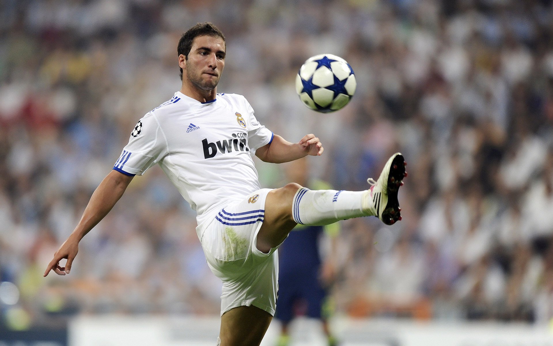 kaiyun app-快船队签下自由球员波格丹洛维奇，快船队签下自由球员波格丹洛维奇是谁